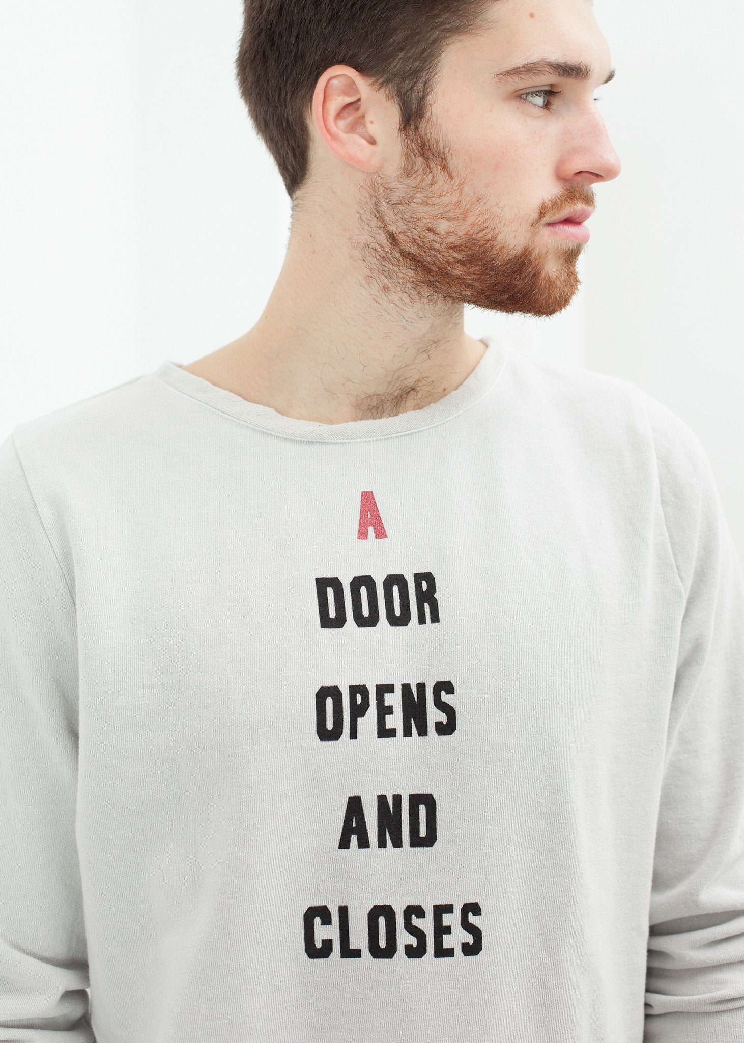 Vintage Sweatshirt in Light Grey|men's t-shirts[option1]|[option2]|[option3] - hello