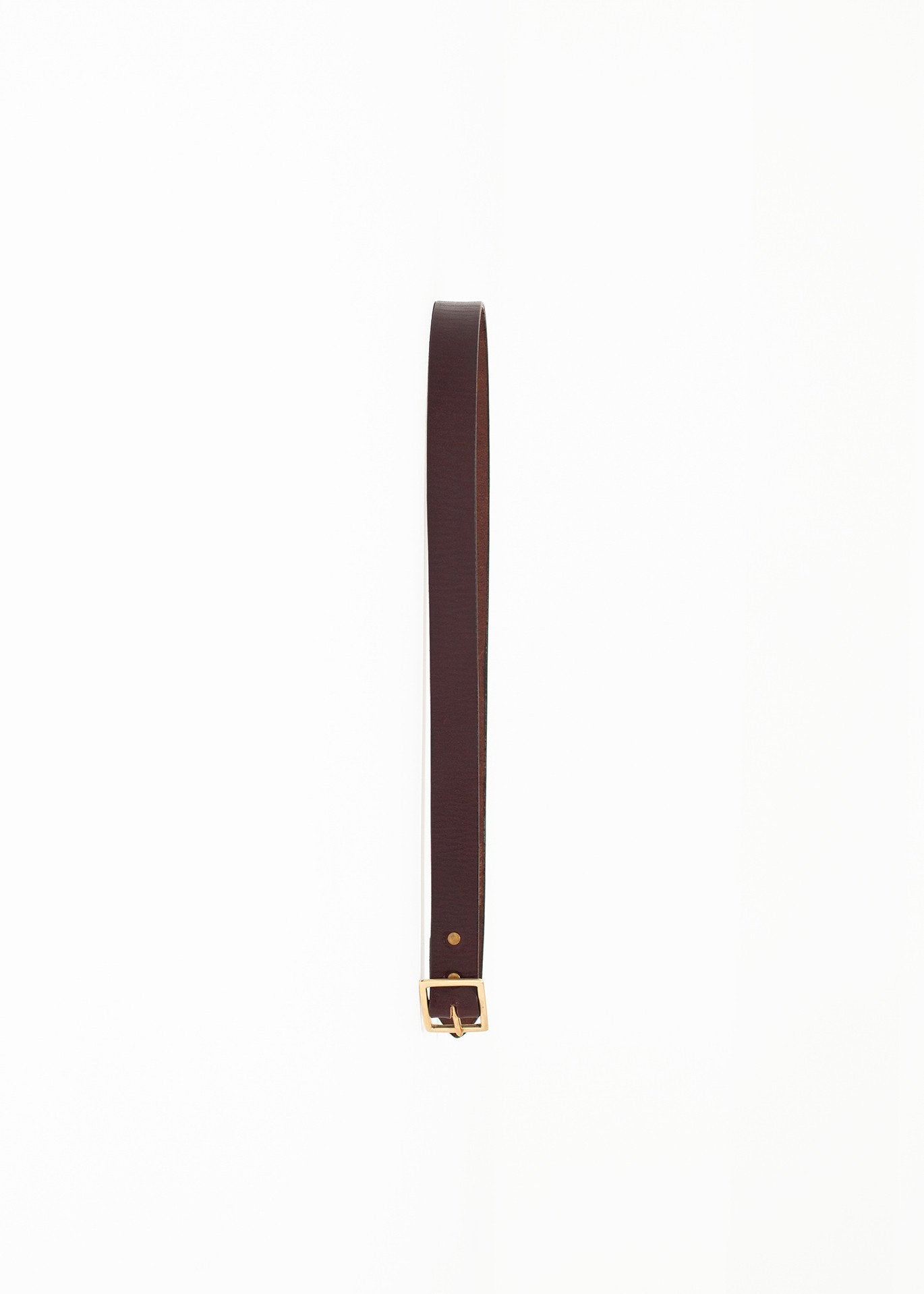 Plain Belt in Brown|unisex belts[option1]|[option2]|[option3] - hello